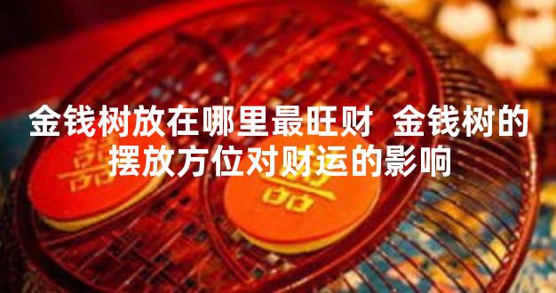 金钱树放在哪里最旺财  金钱树的摆放方位对财运的影响